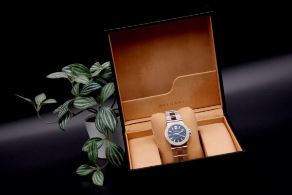 Bulgari DG 29 S full set – Image 2